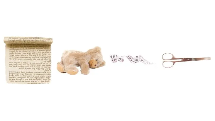 复古棕红调手账装饰免抠贴纸素材图片 含花卉摆件边框背景元素 - 封面预览