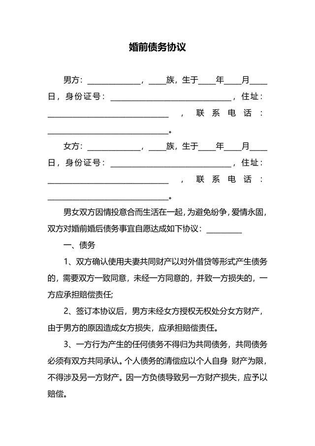 婚前债务约定协议规范文档 夫妻婚前婚后债务权责划分法律文书模板 - 封面预览
