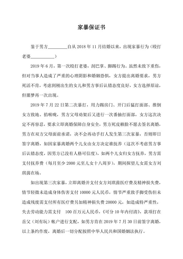 家暴保证书附带离婚约定权益保障法律文书Word模板 - 封面预览
